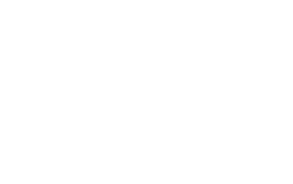 logo ballet vita